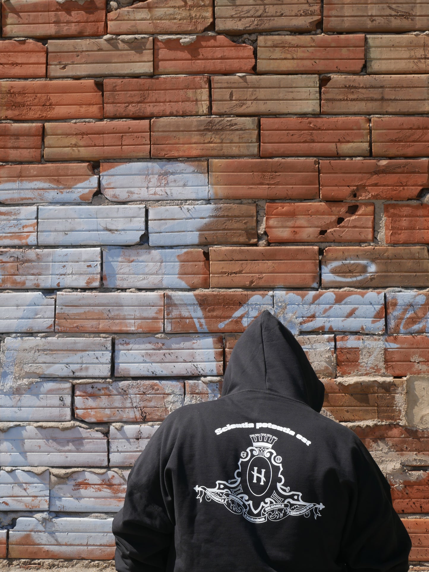 Hoodie Main Quest